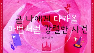 [타로/행운] 🍀조만간 내가 경험할 마법처럼 강렬한 사건👑