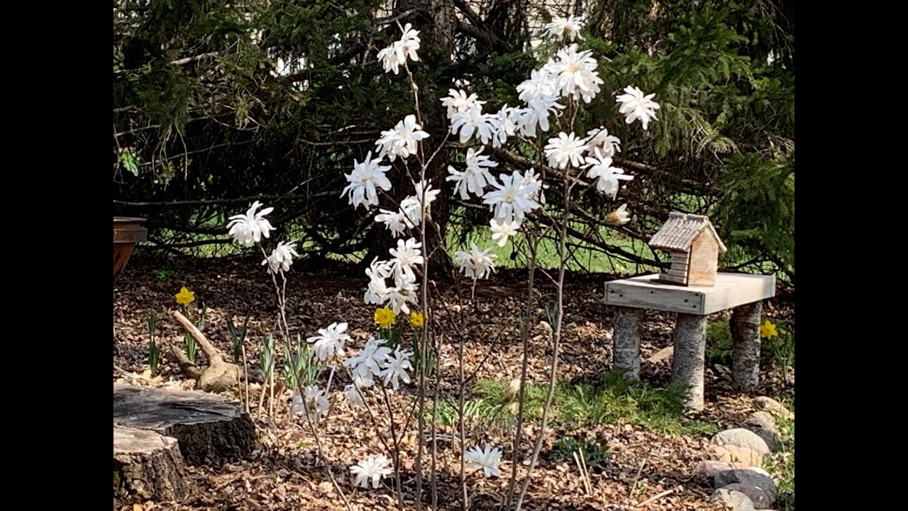 April Garden Tour Youtube