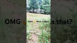What’s that sound? #shorts #sound  #unknown #weird #scary #creepy #woods #forest #fear #alone