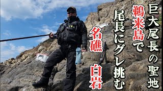 【四国西南部】【磯釣り】巨大尾長グレ攻略に水中映像必見‼️　鵜来島で、素人オヤジ2人が尾長チャレンジ　やっぱり❗そんな気がしたよ(笑)　