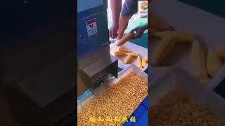 No.444|corn machine|corn thresher|玉米脫粒機|#shorts #food