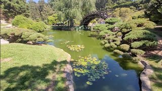 HUNTINGTON LIBRARY and Gardens - San Marino, CA - September 1, 2024