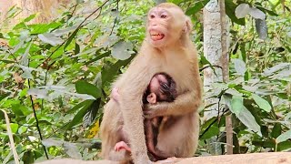 Oh God, My mom had a baby at a young age#viralvideo #video #fyp #funny #foryou #love #new #cute