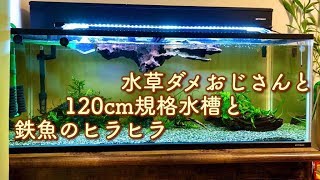 水草ダメおじさんと120cm規格水槽と鉄魚のヒラヒラ