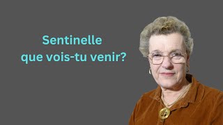 Sentinelle que vois-tu venir?