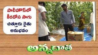 Cucumber Farming In Shadenet | by Young Farmer of Chittoor District || ETV Annadata