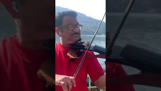 Shahrukh song on violin #shorts #youtubeshorts #viral #violin #ytshorts