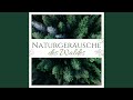 Naturgeräusche des Waldes