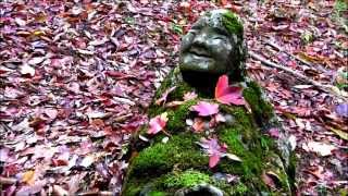 #107 箱根周辺の観光スポット【紅葉】　五百羅漢の石仏~長安寺~  Choanji Temple,Hakone,Kouyou