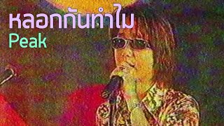 หลอกกันทำไม - Peak (2544)