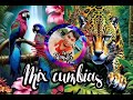 Mix Cumbias Bailable 2024 con dj blayster Flow Iquitos Perú