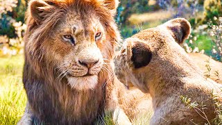Can You Feel The Love Tonight Song Scene - THE LION KING (2019) Movie Clip