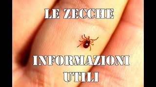 LE ZECCHE, informazioni su di un PARASSITA poco conosciuto 🕷🕷 #escursionisicure