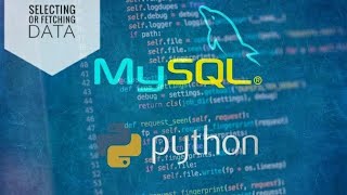 Python MySQL- selecting or fetching data