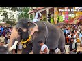 thirunakkara pooram 2023 ഗജവീരന്മാര് തിരുനക്കരയുടെ ഹൃദയം കീഴടക്കി കടന്ന് വരുന്നു