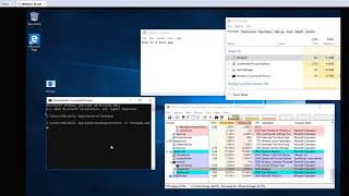 Hide process for windows taskmanager