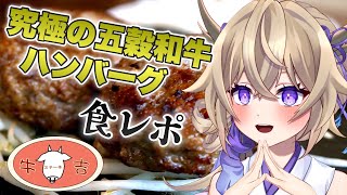 【ステーキ牛吉】美味しすぎると評判の五穀和牛ハンバーグ食レポしてみた【PR/新人Vtuber/ブイチューバー/百雲みや】