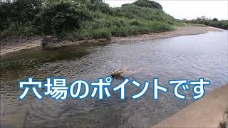 釣り場ポイント チヌ シーバス39奥浜名湖 宇利山川となり