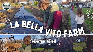 Creating No-Till Garden Beds for the Dahlia and Rose Field | La Bella Vito Farm