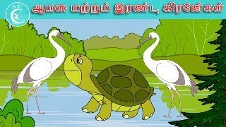 ஆமை மற்றும் இரண்டு கிரேன்கள் | Tamil Stories   | Fairy Tales-Tamil Moral Stories