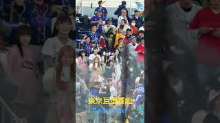 東京巨蛋響起Go Stronger直接變台北大巨蛋 #premier12 #teamtaiwan #gostronger #流量密碼 #shorts