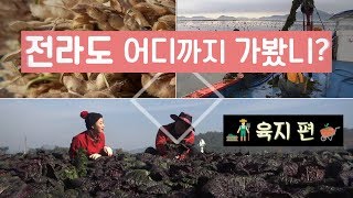 전라도 (여행) 어디까지 가봤니? 육지편 [6시내고향] ( 순천 고흥 해남 ) by KBS광주