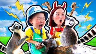 趣味探店：晶晶姊姊帶你去香市動物園！GIGI Visits Andersen's Fairy Kingdom Theme Park  / Play with GIGI