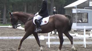 2015.8.22　第40回北海道馬術大会　馬場馬術競技M1課目　津田脩子　慶晴号