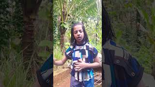 ഒരു പാലം വേണം പോലും 😡#shorts #youtube