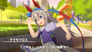 【ウマ娘】これが…\