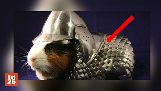 25 Most BIZARRE THINGS Ever Sold On eBay
