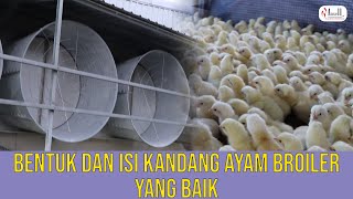 Contoh Peternakan Ayam Broiler Yang Dapat Dijadikan Referensi Untuk Beternak Ayam!!!