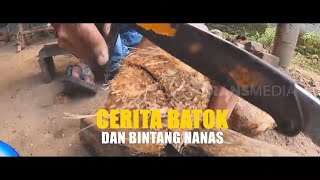 [FULL] Cerita Batok Dan Bintang Nanas | BOCAH PETUALANG (08/04/22)