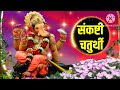 Sankashti Chaturthi 2024 Status | Sankashti Chaturthi Whatsapp Status | संकष्ट चतुर्थी स्टेटस