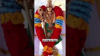 🍁முருகன் துணை🍁tamil God murugan#murugan #lmuruganspeech #முருகன் #godmurugansongs