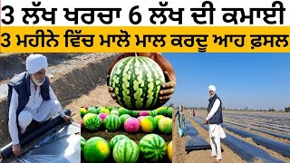 ਪੰਜਾਬ ਵਿੱਚ ਇਹ ਕਿਸਾਨ ਕਰਦਾ ਰੰਗ ਬਿਰੰਗੇ WATERMELON ਦੀ ਖੇਤੀ। 6 ਲੱਖ ਤੱਕ ਦੀ ਕਮਾਈ। ।