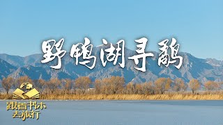 “鹬蚌相争”中的“鹬”究竟长什么样子？跟随书本旅行团，一起去野鸭湖寻鹬 | 中华地图「跟着书本去旅行」20221124