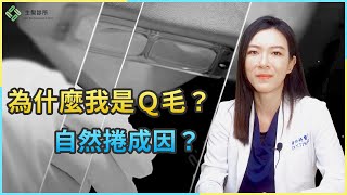 你也是Q毛！頭髮為什麼會自然捲？｜生髮植髮專家黃怡婷醫師