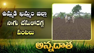 Expert Advices | On Kharif Crops | for Mid Telangana Farmers