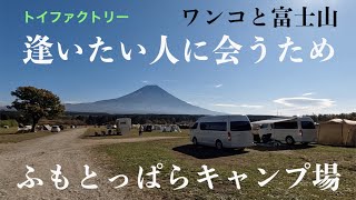 トイファクトリー　ワンコと富士山を巡る車中泊旅　ふもとっぱらキャンプ場