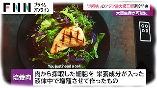 「培養肉」のアジア最大級工場 建設開始　大量生産が可能に