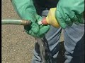 mixing pesticides safely