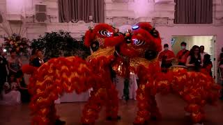 Special Chinese Lion Dance Performance For Wedding and Gender Reveal At Maison Principal