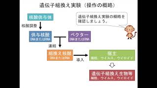 遺伝子組換え実験・基礎