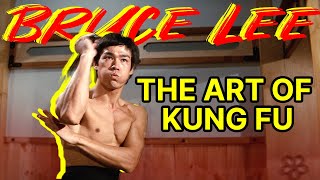 Bruce Lee's Best Fight🥊PK karate and jiu-jitsu masters | The Legend of Bruce Lee