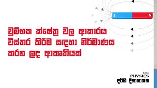 චුම්භක ක්ෂේත්‍ර වල ආකාරය විස්තර කිරීම සඳහා නිර්මාණය කරන ලද ආකෘතියක්