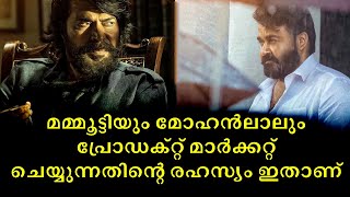 മമ്മൂട്ടിയും മോഹൻലാലും എല്ലാം പ്രോഡക്റ്റ് മാർക്കറ്റ് ചെയ്യുന്നതിന്റെ രഹസ്യം ഇതാണ് | Halo Effect