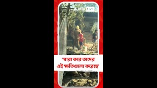 'যারা করে তাদের এই ক্ষতিগুলো করেছে' দাবি স্থানীয় বাসিন্দার