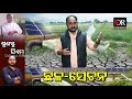 ଜଳ ସେଚନ ନା ଛଳ ସେଚନ irrigation agriculture odisha reporter