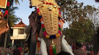 Thiruvambady Chandrasekharan in Chemboothra Pooram 2023